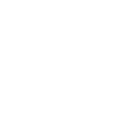 endometrium