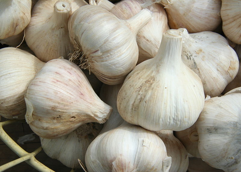 Coronary Calcium Score Benefits of Aged Garlic - Jeffrey Dach MD
