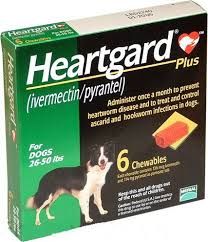 Ivermectin Antiparasitic Anticancer Wonder Drug - Jeffrey ...